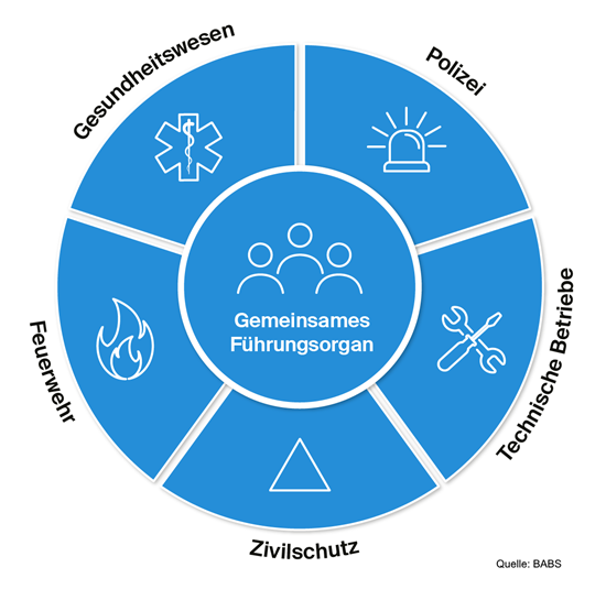 Gemeinsames Führungsorgan
